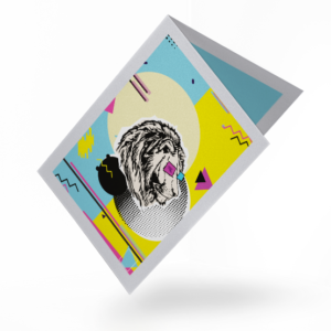 projekt graficzny katalogu bookletu