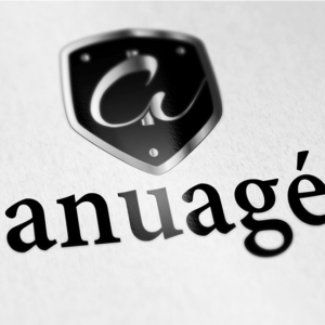 Projekt graficzny logo anuage