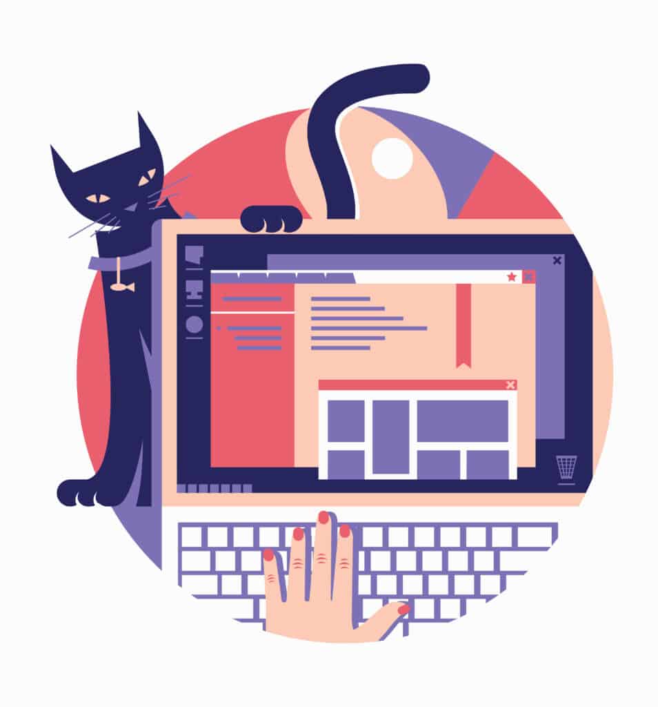 przeglądarka internetowa